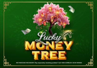 Lucky Money Tree
